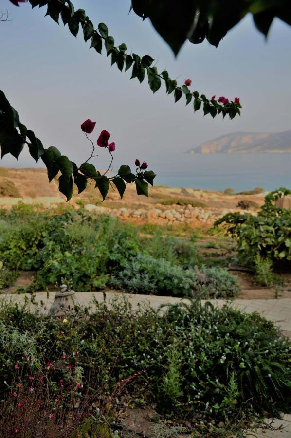 Pambelos Lodge Koufonisia Kültér fotó